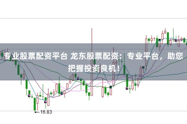 专业股票配资平台 龙东股票配资：专业平台，助您把握投资良机！
