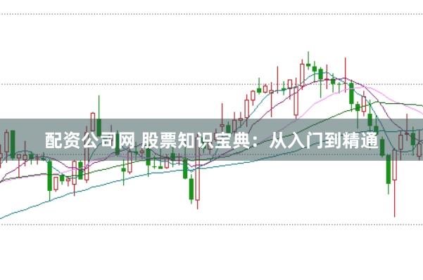 配资公司网 股票知识宝典：从入门到精通