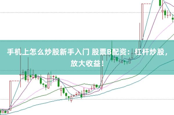 手机上怎么炒股新手入门 股票B配资：杠杆炒股，放大收益！