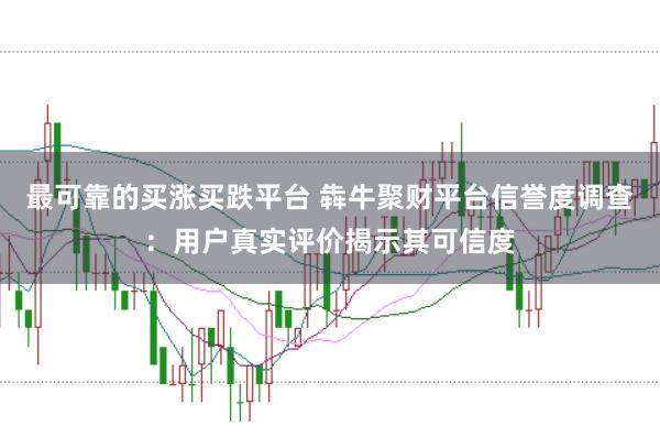 最可靠的买涨买跌平台 犇牛聚财平台信誉度调查：用户真实评价揭示其可信度