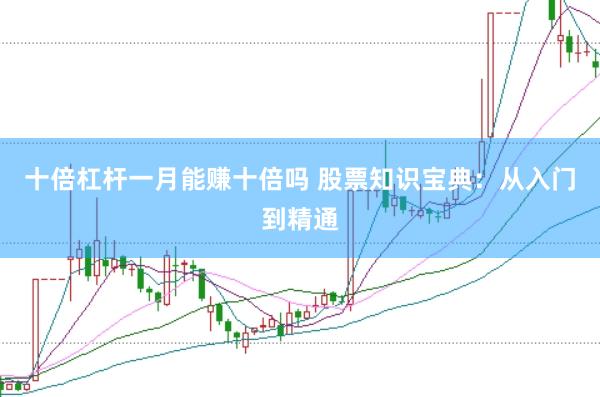 十倍杠杆一月能赚十倍吗 股票知识宝典：从入门到精通