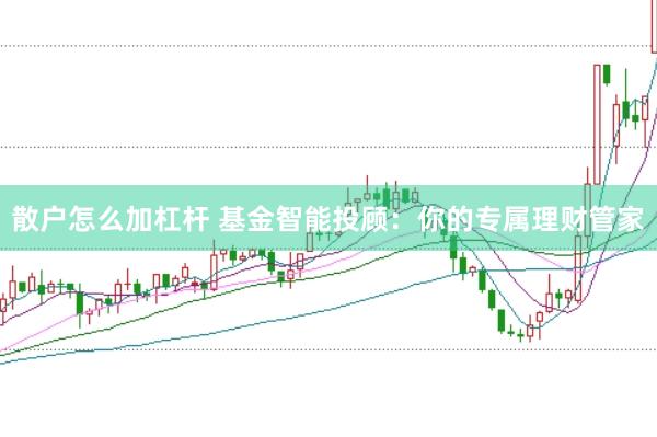 散户怎么加杠杆 基金智能投顾：你的专属理财管家