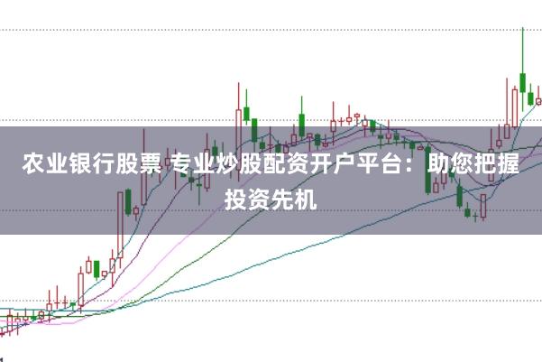 农业银行股票 专业炒股配资开户平台：助您把握投资先机