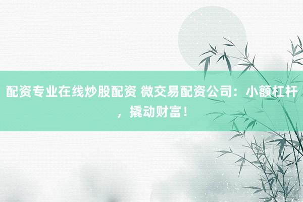 配资专业在线炒股配资 微交易配资公司：小额杠杆，撬动财富！