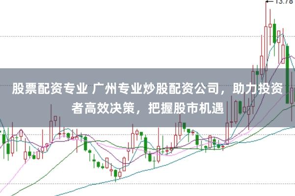 股票配资专业 广州专业炒股配资公司，助力投资者高效决策，把握股市机遇