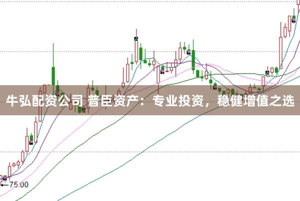 牛弘配资公司 普臣资产：专业投资，稳健增值之选