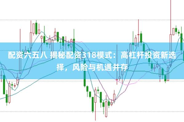 配资六五八 揭秘配资318模式：高杠杆投资新选择，风险与机遇并存
