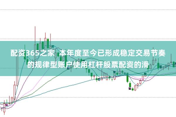 配资365之家  本年度至今已形成稳定交易节奏的规律型账户使用杠杆股票配资的滑