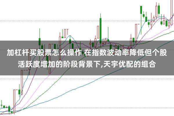 加杠杆买股票怎么操作 在指数波动率降低但个股活跃度增加的阶段背景下,天宇优配的组合
